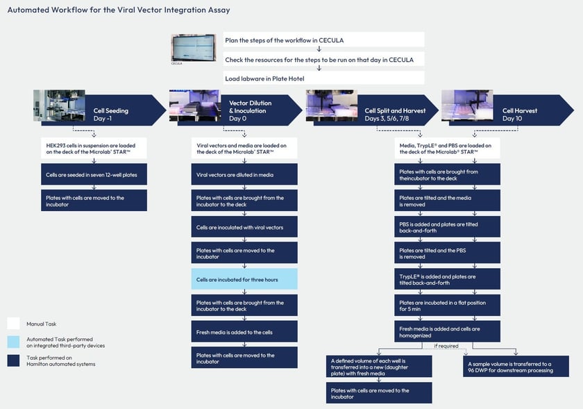 ROB_BZ_ Gaby Case Study OXB Diagram